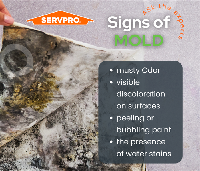 A photo of a hand pulling back a piece of wall paper that reveals mold growth behind the paper and a list of signs of mold